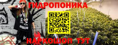 2c-b Гусиноозёрск