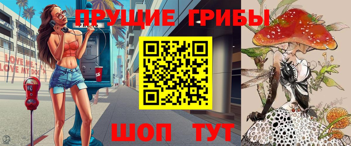 Галлюциногенные грибы прущие грибы Мичуринск