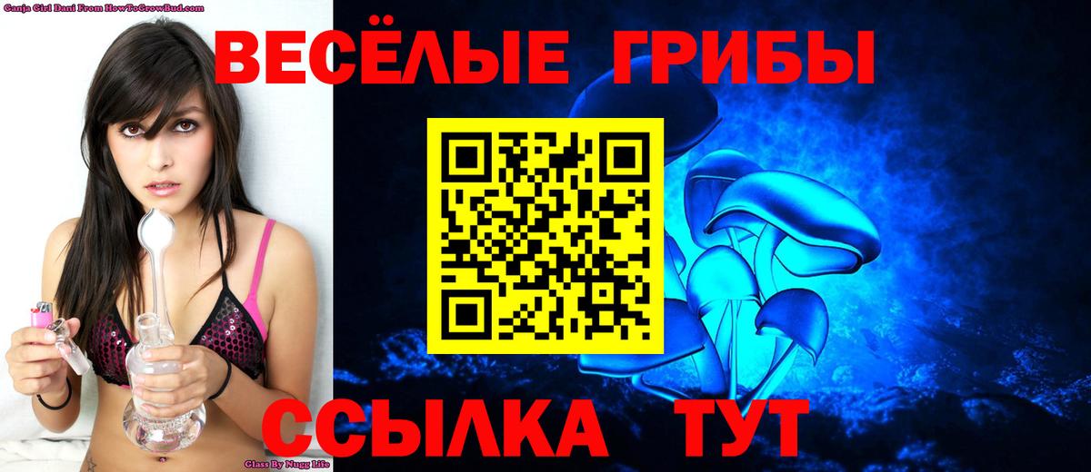Псилоцибиновые грибы MAGIC MUSHROOMS  Псилоцибиновые грибы Cubensis  Вход с VPN  Мичуринск 